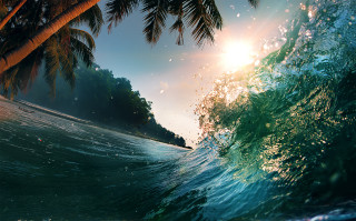 Wave palm beach sunset fireworks - anton fadeev free wallpaper