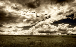 Cloudy sky horse field ocean - derold page free wallpaper