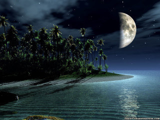 Full moon tropical island night - tropical free wallpaper