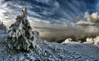 Snow covered tree hill cloudy - a sunbeam in the distance free wallpaper