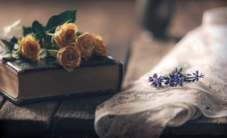 Book flowers lace bouquet stilllife - elinor proby adams free wallpaper