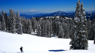 Skiing snowy mountain trees panorama - the background and mountains free wallpaper