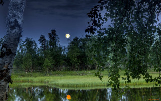 Full moon forest pond night - full moon free wallpaper