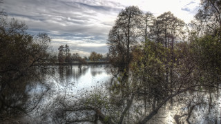 Lake trees cloudy sky impressionism - impressionist free wallpaper