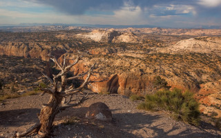 Desert tree mountains cloudy sky - ansel adams free wallpaper
