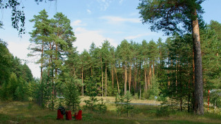 Red barrels forest lake autumn - a lake and trees free wallpaper
