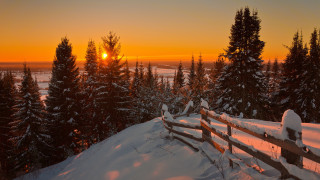 Fence snow sunset trees field - boleslaw cybi free wallpaper