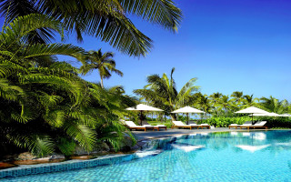 Pool lounge chairs umbrellas palm - blue sky free wallpaper