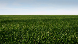 Field grass blue sky white - a blue sky in the background free wallpaper for desktop