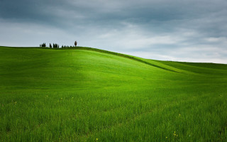 Green field lone tree cloudy - a lone tree free wallpaper