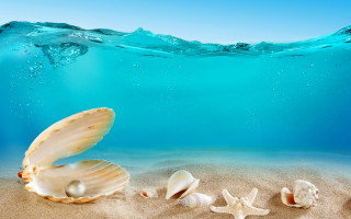 Seashells underwater beach wave sky - surrealism free wallpaper