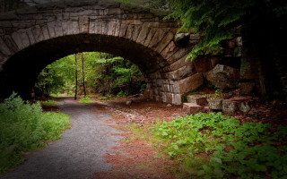 Stone bridge forest road tiltshift - side of it free wallpaper