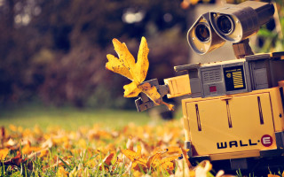 Robot camera leaves autumn blurry - its back in free wallpaper