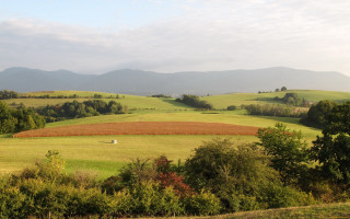 Lush green field trees mountains - the foreground and mountains free wallpaper