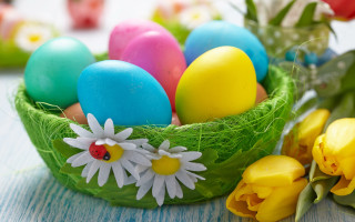 Basket eggs flowers table vase - egg free wallpaper