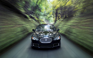 Car driving road trees background - the car free wallpaper