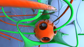 Fish pond plant ai mitsu - c4d free wallpaper