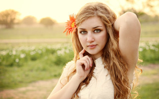 Woman flower field portrait sunset - long hair and a flower free wallpaper