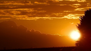 Sunset clouds tree yellow sky - a photo free wallpaper