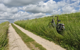 Bike fence grass dirt road - tall grass free wallpaper