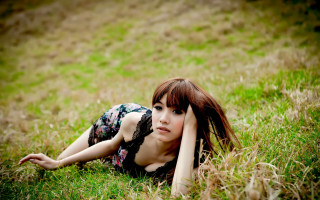 Woman grass laying bush dandelion - fashion photography free wallpaper for desktop