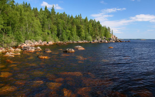Lake shore forest clouds blue - the shore free wallpaper