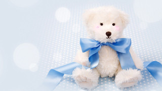 White teddy bear blue bow - white dot free wallpaper