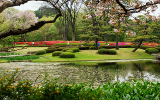 Pond trees flowers impressionism nature - a pond free wallpaper