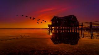 Birds flying sunset house stilts - over a body of water free wallpaper