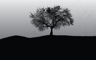 Tree birds hill ink illustration - modern free wallpaper