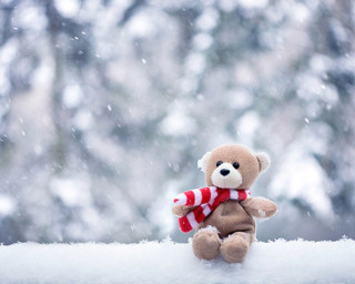 Teddy bear snow roof winter - its neck free wallpaper