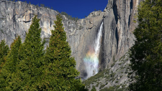 Rainbow waterfall trees blue sky - a rainbow free wallpaper for desktop