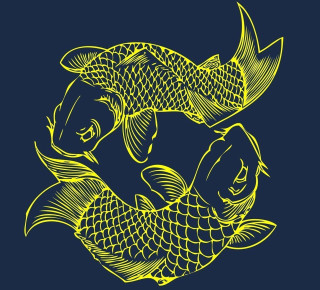 Two fish swimming pond water - the water free wallpaper