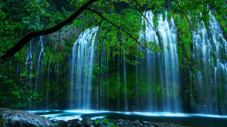 Waterfall tree nature river forest - alson s. clark free wallpaper
