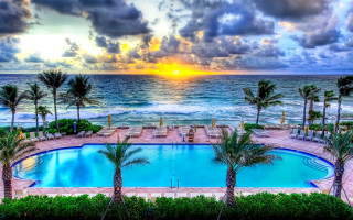 Sunset palm trees beach pool - palm tree and a sunset in the background free wallpaper
