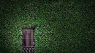Tall wooden door lush green - free minimalism wallpaper