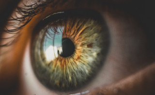 Eye green brown white black - macro len free wallpaper