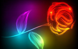 Colorful flower abstract fire energy - a purple flower free wallpaper