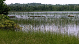 Lake rocks trees grass nature - alexander brook free wallpaper