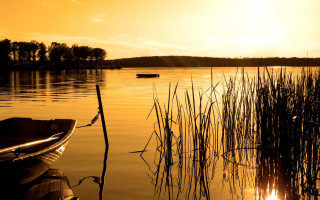 Boat water sunset reeds cityscape - sunset free wallpaper