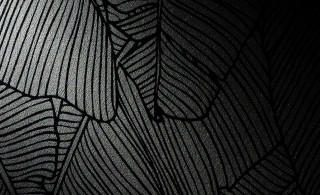 Black white leaf pattern wallpaper 2 - fine foliage lace free wallpaper