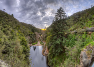 River forest bridge cloudy day - a lush green forest under a cloudy sky free wallpaper