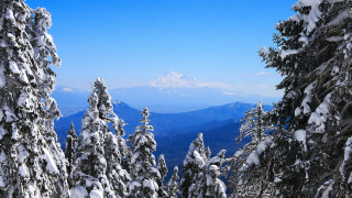 Snowy mountain range winter forest - a view of a mountain range free wallpaper