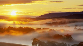 Sunset valley trees fog hills - a few hill free wallpaper