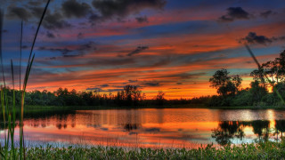 Sunset lake trees grass clouds - a sunset over a lake free wallpaper