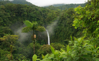 Waterfall forest tree fog mattepainting - a waterfall in the middle of a forest free wallpaper