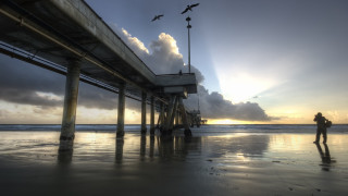 Beach pier sunset birds mountains - bird free wallpaper for desktop