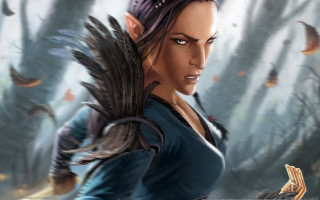 Woman bird forest elf feathers - epic fantasy character art free wallpaper
