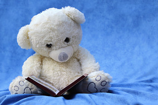 White teddy bear reading book - white free wallpaper