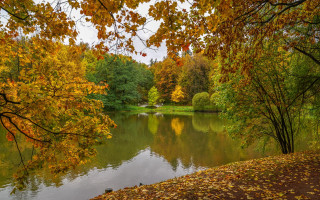 Lake trees autumn bench impressionist - boleslaw cybi free wallpaper